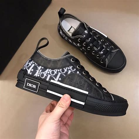 dior b23 low canvas.